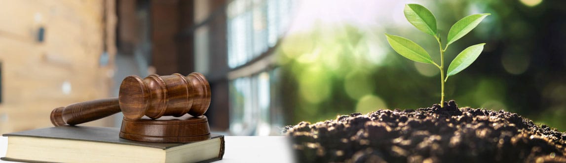 Droit pénal de l’environnement