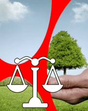 Droit pénal de l’environnement Droit pénal de l’environnement